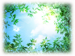 木田開運相談所の開運相談