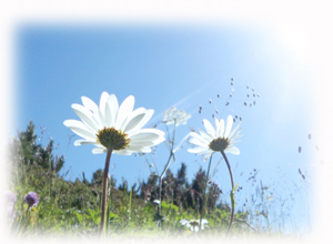 木田開運相談所の開運相談